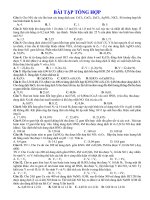 BÀI TẬP TỔNG HỢP