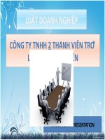 Cong ty TNHH 2 thanh vien12345