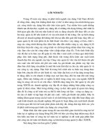 Báo cáo tổng hợp về nghiệp vụ kế toán của xí nghiệp sông đà 206