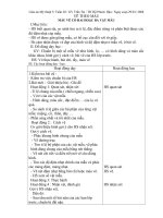 Giáo án kĩ thuật 5 tuần 20