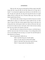 Báo cáo tổng hợp về tổ chức công tác tài chính doanh nghiệp & tình hình tổ chức thực hiện công tác kế toán & công tác phân tích hoạt động kinh tế của doanh nghiệp z79