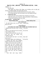 Giáo án kĩ thuật lớp 5 tuần 8-14