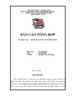 Báo cáo tổng hợp về đặc điểm cơ sở vật chất và môi trường kinh doanh của Công ty khách sạn và du lịch kim liên