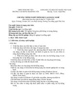 Chương trình nghề trình độ cao đẳng nghề