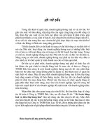 Công tác Kế toán thu mua & tiêu thụ hàng hoá tại Công ty TNHH Đức Lân