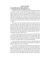 Các giải pháp nhằm đẩy mạnh hoạt động khai thác nguồn khách du lịch đi lẻ ở chi nhánh du lịch Thanh niên Quảng Ninh tại Hà Nội