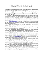 Giai phap IP tong dai cho doanh nghiep