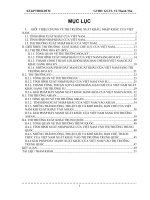 69947879-Giới-thiệu-về-thị-trường-Xuất-Nhập-khẩu-Việt-Nam