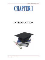 Khảo sát về tính tự chủ của sinh viên chuyên ngữ trường Đại học Lạc Hồng