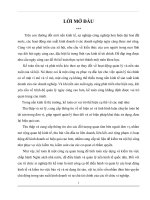 Tổ chức Kế toán tại Công ty Cổ phần chế biến nông sản thực phẩm Bắc Giang