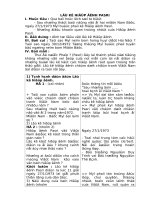 Giáo án lịch sử 5