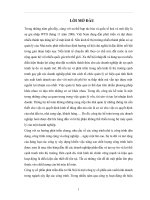 Tổ chức Kế toán của Công ty Cổ phần phát triển đầu tư Hà Nội