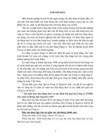 kế toán tiêu thụ hàng hoá và xác định kết quả tại Công ty TNHH sản xuất và thương mại nguyên anh