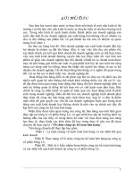 Tổ chức công tác Kế toán bán hàng tại Công ty Cổ phần Sông Lô