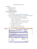 Magmi Mass Importer Tutorial