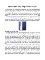 Tai sao phai dung tong dai dien thoai