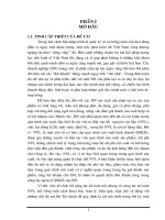 Tổ chức công tác Kế toán nguyên vật liệu nhằm tăng cường quản lý & sử dụng nguyên vật liệu tại Công ty Vật liệu chịu lửa Trúc Thôn