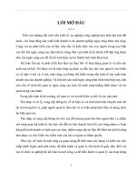 Tổ chức Kế toán tại Công ty Cổ phần chế biến nông sản thực phẩm Bắc Giang