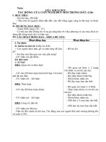 Giáo án sinh học 5- Tác động của con người đến môi trường đất