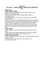 Giáo án thể dục tuần 32