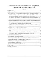 Những tác động của việc gia nhập WTO tới ngành du lịch Việt Nam