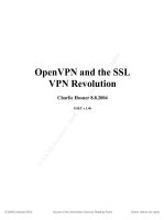 Tài liệu Open VPN and The SSL VPN Revolution pdf