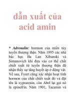 Tài liệu dẫn xuất của acid amin ppt