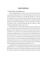 Đề tài một số giải pháp hoàn thiện hoạt động marketing dòng sản phẩm kia newmorning của công ty CP ô tô trường hải  