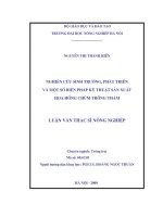 nghiên cứu sinh trưởng phát triển và một số biện pháp kỹ thuật sản xuất hoa hồng chùm trồng thảm 