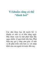 Tài liệu Vi khuẩn cũng có thể “đánh hơi” pdf