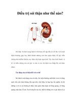 Tài liệu Điều trị sỏi thận như thế nào? docx