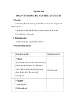 Tài liệu Tập làm văn - ĐOẠN VĂN TRONG BÀI VĂN MIÊU TẢ CÂY CỐI docx