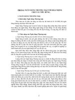 CÁC GIẢI PHÁP NHẰM mở RỘNG và NÂNG CAO HIỆU QUẢ CÔNG tác CHO VAY TIÊU DÙNG tại NGÂN HÀNG á CHÂU CHI NHÁNH đà NẴNG 