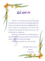 GIẢI PHÁP NÂNG CAO CHẤT LƯỢNG DỊCH vụ CHĂM sóc KHÁCH HÀNG của CÔNG TY cổ PHẦN FPT MIỀN TRUNG – CHI NHÁNH HUẾ 