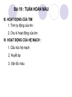 Tài liệu Bài 19: Tuần hoàn máu pdf