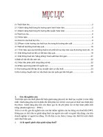 Đề tài thuế hiệu quả 