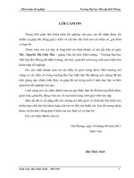 Nghiên cứu xử lý nước thải sinh hoạt bằng phương pháp lọc sinh học hiếu khí kết hợp với thảm thực vật từ cây phát lộc 