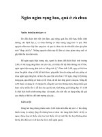 Tài liệu Ngăn ngừa rụng hoa, quả ở cà chua docx