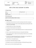 MÔ TẢ CÔNG VIỆC GIÁM ĐỐC TÀI CHÍNH