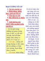 Tài liệu ĐẠI CƯƠNG VỀ CƠ Cơ là tổ chức tồn 1. Vai trò của hệ cơ tại cùng với con ppt