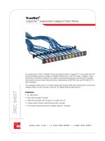 Tài liệu TrueNet® CopperTen™ Augmented Category 6 Patch Panels pptx