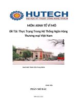 Thực Trạng Trong Hệ Thống Ngân Hàng Thương mại Việt Nam