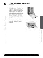 Tài liệu FL1000 Series Fiber Optic Panel pptx