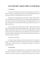 Tài liệu Giáo trình Loét Tiêu Hoá: Nguyên Nhân và Chẩn Đoán ppt