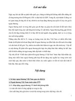 Tiểu luận Chiến lược phát triển ngoại thương của Việt Nam