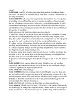 Tài liệu Từ điển chứng khoán Chủ đề C pdf