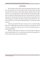 Phân tích tác động của thuế TNCN đến thu nhập từ tiền lương, tiền công 