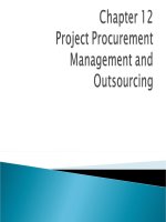 Tài liệu Chapter 12: IT project manager doc