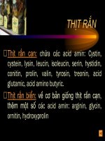 Tài liệu Động vật làm thuốc_Phần 10 docx