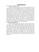 Áp dụng lý thuyết thị trường ngách vào hoạt động kinh doanh, kinh nghiệm của các doanh nghiệp nước ngoài và thực tiễn áp dụng tại việt nam 